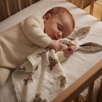 Vue profil gauche de bébé endormi avec doudou confident rassurant ourson assis dans les bras