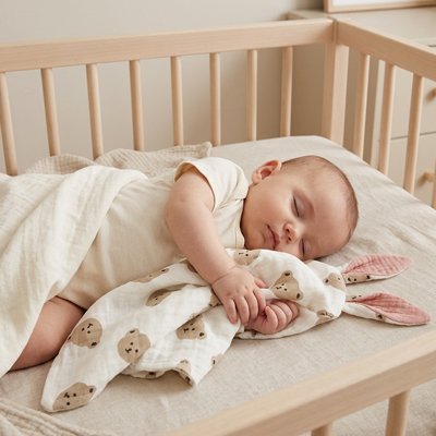 Vue profil gauche de bébé endormi avec doudou confident rassurant tête ourson dans les bras